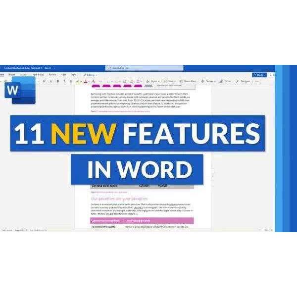 Microsoft Office 2024 Professional Plus license showcasing 11 new features in Word interface
