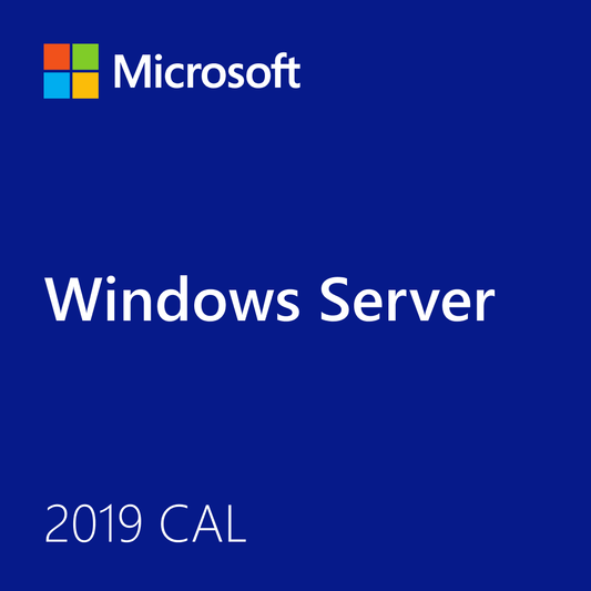 Microsoft Windows Server 2019 CAL product packaging featuring the logo and clear identifier