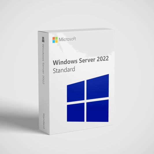 Microsoft Windows Server 2022 Standard license box featuring the logo and product name